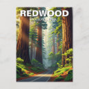 Search for redwood national park postcards Travel