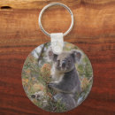 Search for koala bear key rings Marsupial