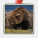 Search for grizzly bear christmas tree decorations Usa