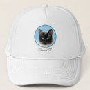 Search for siamese hats Cat
