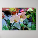 Search for lobbying art Home