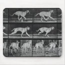 Search for plate mousepads Photography