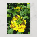 Search for yellow flower postcards Bloom