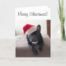 Search for frenchie christmas cards Animal