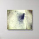 Search for horse canvas prints Equine