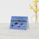 Search for cetacean cards Ocean