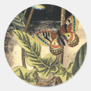 Search for scenes stickers Animals