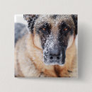 Search for german shepherd gifts Animal
