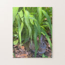 Search for rabbit puzzles Animals