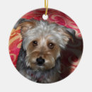 Search for yorkie pet memorials Puppy