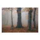 Search for autumn mist art Forest