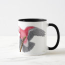 Search for galah mugs Australia