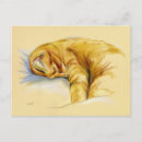 Search for posing postcards Feline