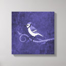 Search for bluejays art Animals