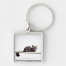 Search for boarded key rings Cute