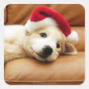 Search for sofa stickers Dog
