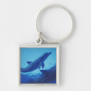 Search for habitat key rings Swim