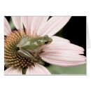 Search for tree frogs cards Wildlife