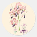 Search for vintage botanical illustration stickers Floral