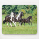 Search for foal mousepads Horse