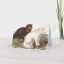 Search for vulpes cards Mammal