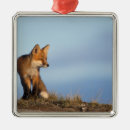 Search for red fox christmas tree decorations Canine
