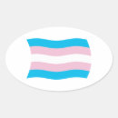 Search for transsexual pride flag stickers Transgender