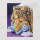 Search for shetland sheepdog postcards Canine