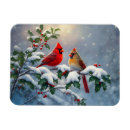 Search for holly magnets Birds