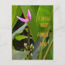 Search for forget postcards Christian