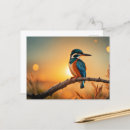 Search for watercolor bird postcards Kingfisher