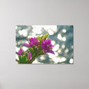 Search for bougainvillea art Flowers