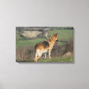 Search for looking down canvas prints Dog