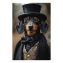Search for doxie photography Pet