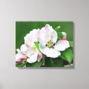 Search for spring bloom art Tree