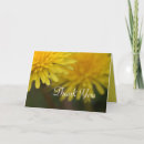 Search for wild photo cards Flower