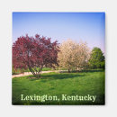 Search for tree landscape magnets Scenery