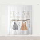Search for gender reveal backdrops Boy or girl