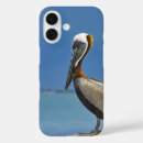 Search for pelicans iphone cases Beach