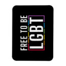 Search for bisexual magnets Trans