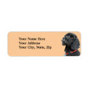 Search for black cocker spaniel Pets