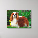 Search for cavalier canvas prints Animal