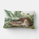 Search for black rabbit cushions Wildlife