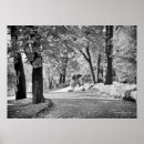 Search for filter posters Forest