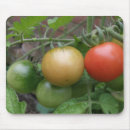 Search for tomatoes mousepads Healthy