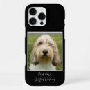 Search for griffon Pbgv