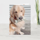 Search for funny money cards Cash