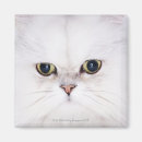 Search for studio shot magnets Cute