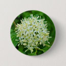 Search for botany badges Plant