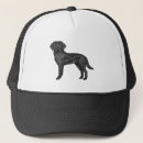 Search for black lab hats Animal